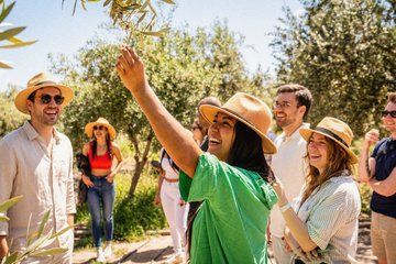 Mendoza Private City Tour : Olive Experience, Wine Tasting & Roast