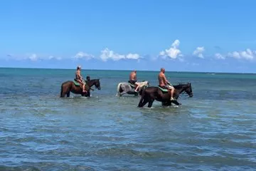 ATV Zipline Horseback Catamaran Ocean Rafting at Adventure Park