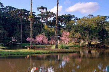 Vacation Package with 3 parks in Campos do Jordão