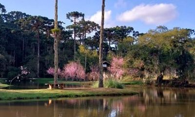 Vacation Package with 3 parks in Campos do Jordão