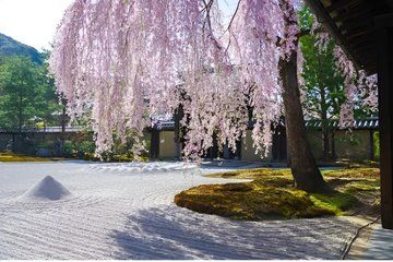 Japan's Historical and cultural walking tour