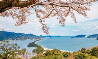 Amanohashidate and Ine Bay Private Trip from Kyoto