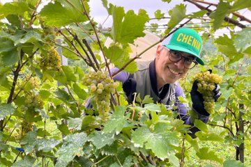 Taste and Tour Small Organic Wineries with a Winemaker