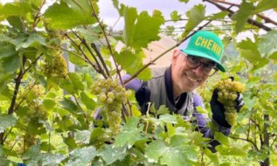 Taste and Tour Small Organic Wineries with a Winemaker