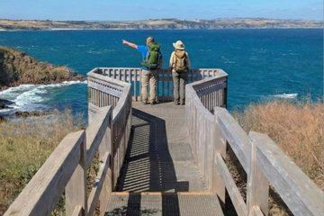 Coastal Cliffs of Phillip Island Audio Tour of Cape Woolamai