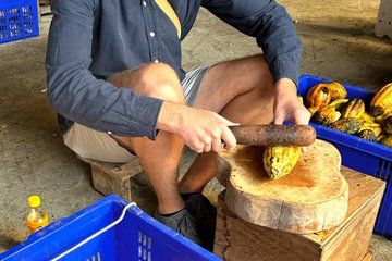 Thai Chocolate Experience in Chiang Mai