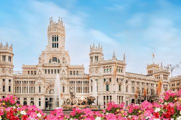 Madrid Highlights Private Tour with Hotel Pickup