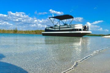 Private Luxury Keewaydin Island Shelling and Beach Excursion