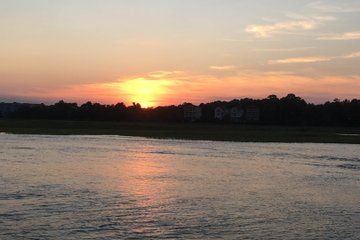 Dolphin Viewing Shelter Cove Harbour Cruise