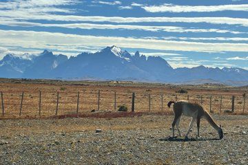 Trackking Base Torres in Puerto Natales