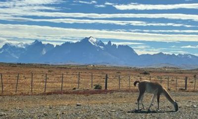Trackking Base Torres en Puerto Natales