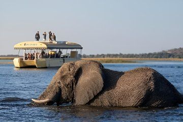 3 Hour Chobe River Sunset Cruise from Victoria Falls