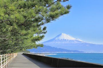 Shimizu, Shizuoka: Private Custom Tour with Local Guide
