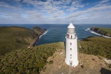 Bruny Island Essential Explorer Full Day Tour from Hobart