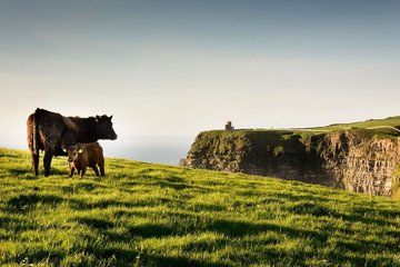 The Cliffs of Moher Private Luxury Day Tour from Cork