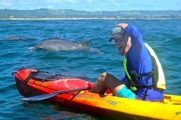 Guided Mangrove Kayak and Beach Tours