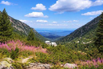 From Sofia Rila Mountain Easy Hike and Panoramic Views