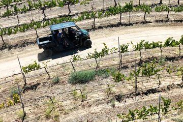 Thrilled Escape Wine Tasting and UTV Vineyard Adventure