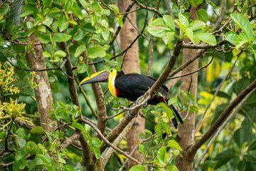 Explore Quito & Mindo on a Private Transport