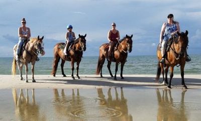 Horseback Riding, River Tubing, Lunch, Shopping Ocho Rios Jamaica