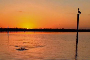 Private Luxury Sunset Cruise in Naples Bay and Keewaydin