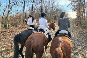 Horseback Adventure Belgrade