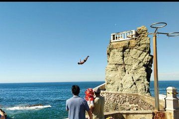 Discover marzipan by panoramic van up to 6 people