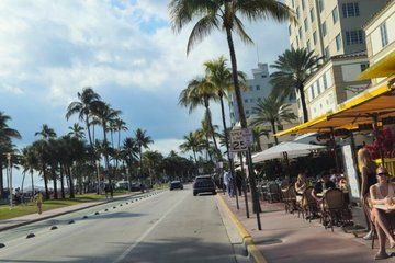 Private Everglades and City Tour Combined