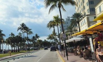 Private Everglades and City Tour Combined