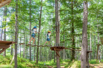 Tree-to-Tree Adventure Park