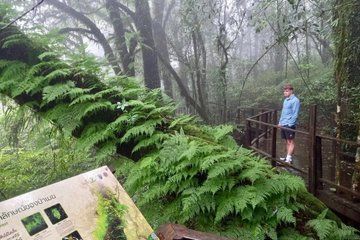 The Roof of Thailand Visiting Doi Inthanon National Park
