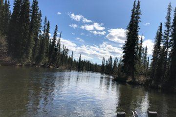 Chena River Guided Wilderness Adventure