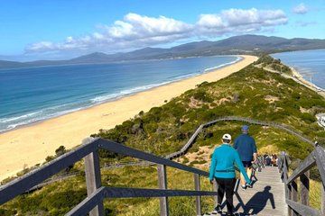 Bruny Island Discovery Private Tour