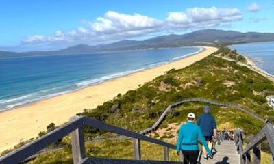 Bruny Island Discovery Tour