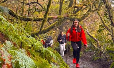 Anaga Mountains and Enchanted Forest, Tenerife Hiking Tour