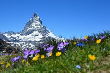 Zurich to Zermatt Private Transfer with Lucerne Sightseeing Stop