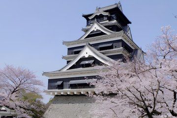 Kumamoto: Samurai Heritage Private Tour with Local Guide