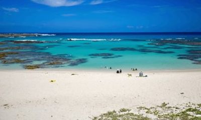 Amami Oshima Island Private Custom Tour with Local Guide