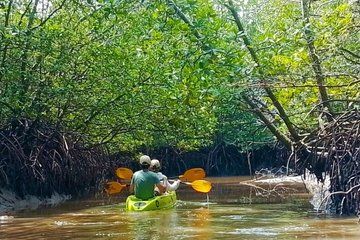 Half-Day Thung Yee Peng Mangrove Kayaking Adventure