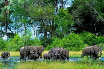 5 Days Wildlife Tour in Chebera Churchura National Park