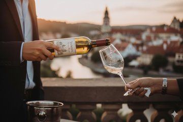 Schiele Art Tour with Bohemian Wine