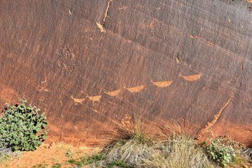 Horseshoe Bend Petroglyph Kayak Tour