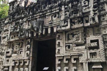 From the Aztecs to Frida: Chapultepec Park History Walk