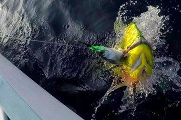 fishing in Bahias de Huatulco