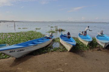 Lake Naivasha and Crescent Island Day Safari Walk among Wildlife