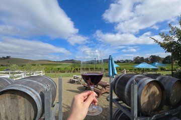 Yarra Valley Small Group | Vine Views and Vibes Tour