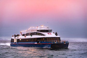 Sustainable Whale Watching from Tromsø – Catamaran Adventure