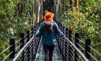Glass Bridges Walk on Hanging Bridges in Monteverde