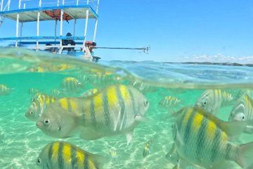 San Miguel dos Milagres Tour from Maceió with Transportation