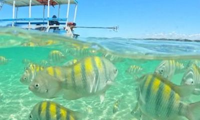 San Miguel dos Milagres Tour from Maceió with Transportation
